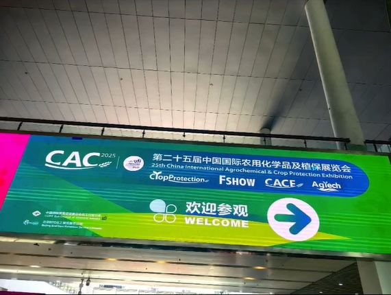 Shanghai CAC MMXXV